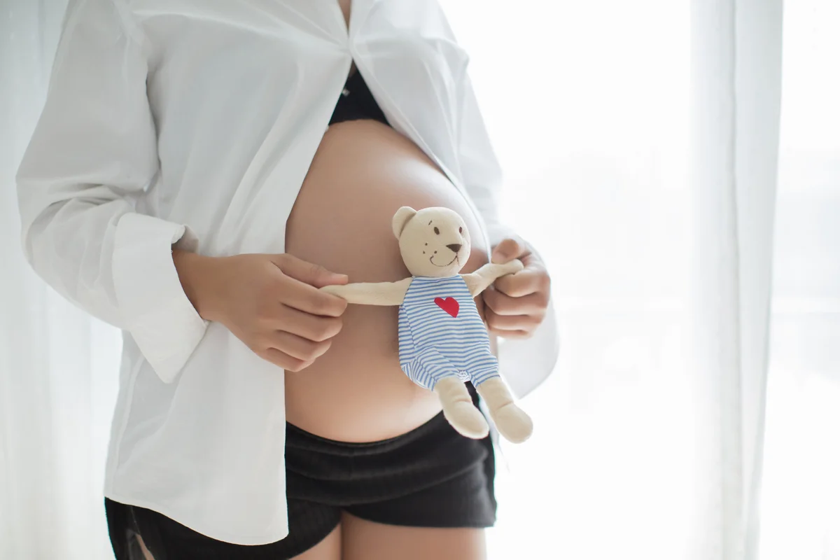 Rising Perinatal Mortality in France: Understanding the Underlying Causes
